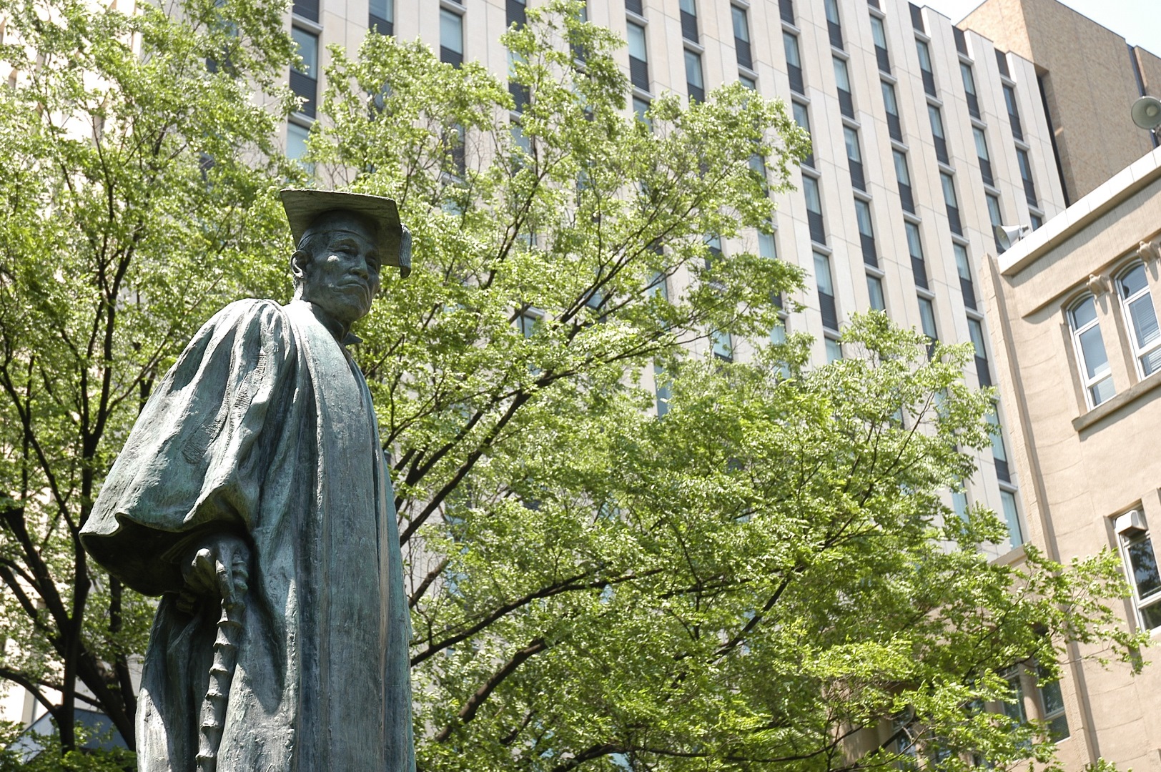 新緑のキャンパス