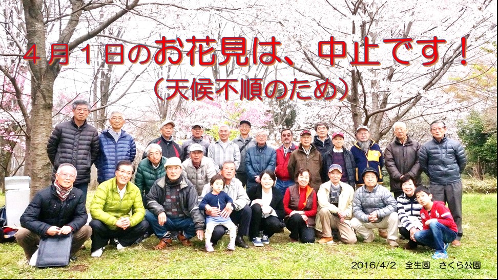 お花見は中止です20170331