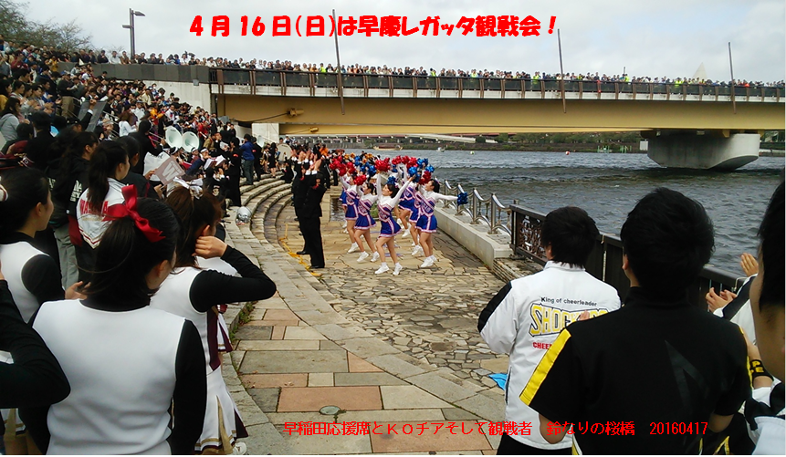 ４月１６日レガッタ