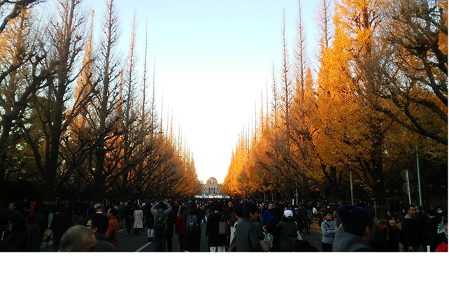 122717_1406_10.png