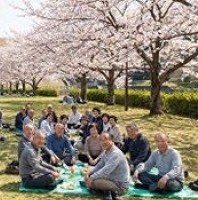 キャッチアップ-お花見会イラスト198x213